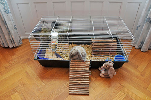 Kaninbur i stuen, foto fra bogen "Jeg elsker min kanin" af Tine Kortenbach